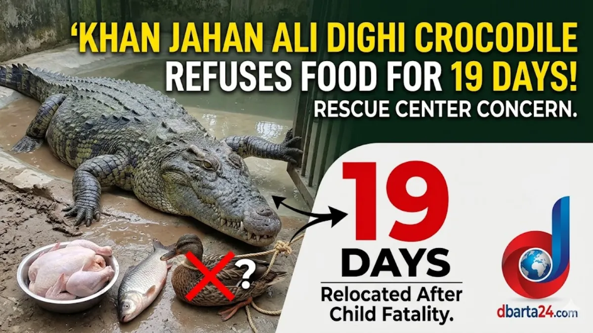 Enclosure at the Khulna Wildlife Rescue Center where a large freshwater crocodile rests near the water after relocation.